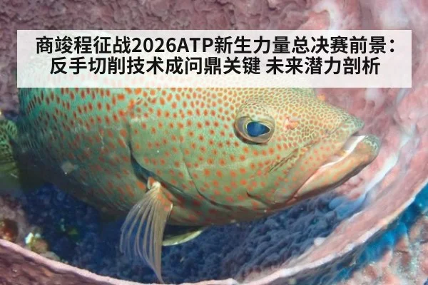 商竣程征战2026ATP新生力量总决赛前景：反手切削技术成问鼎关键 未来潜力剖析（KAIYUN）