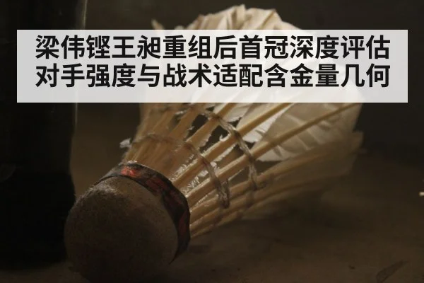梁伟铿王昶重组后首冠深度评估 对手强度与战术适配含金量几何